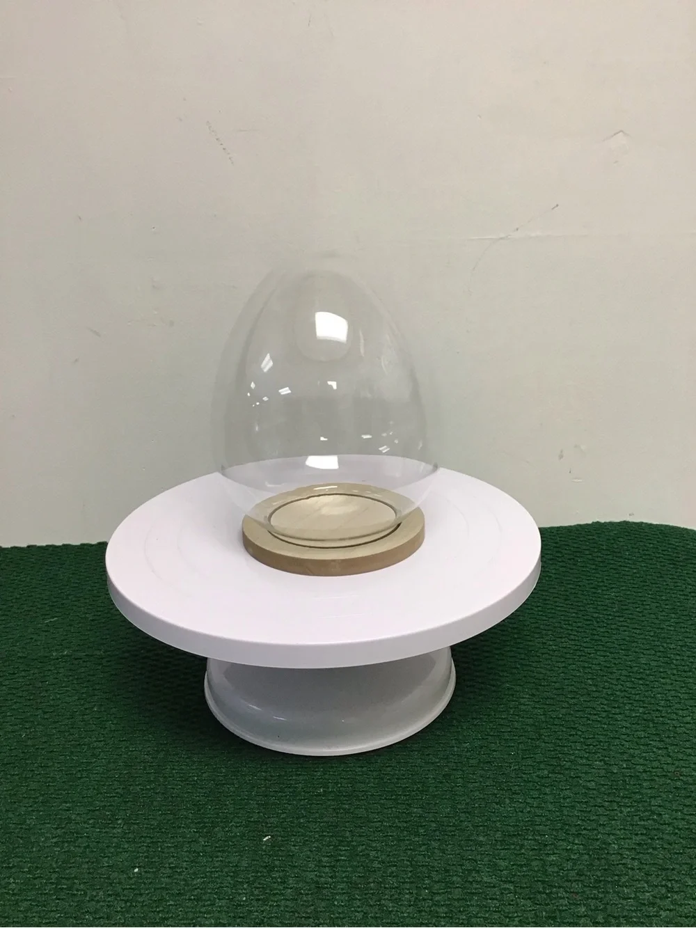 Target Clear Glass Dome with Natural Wood Base on White Pedestal